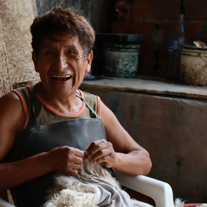 Im Einklang mit der Natur - Mutter & Baby Alpaka in den Anden von Peru