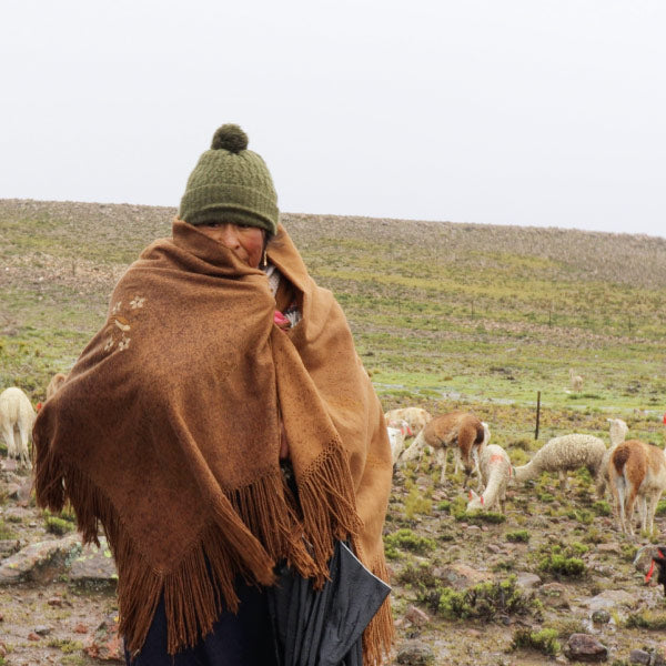 Im Einklang mit der Natur - Mutter & Baby Alpaka in den Anden von Peru