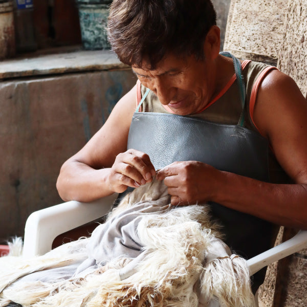 Im Einklang mit der Natur - Mutter & Baby Alpaka in den Anden von Peru